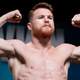 Illustration for article titled Canelo Álvarez Blames Tainted Meat For Positive Drug Test